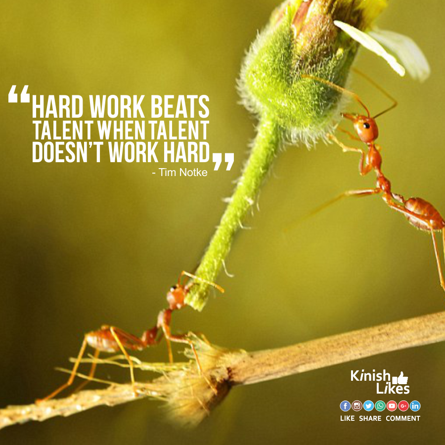 Work Hard