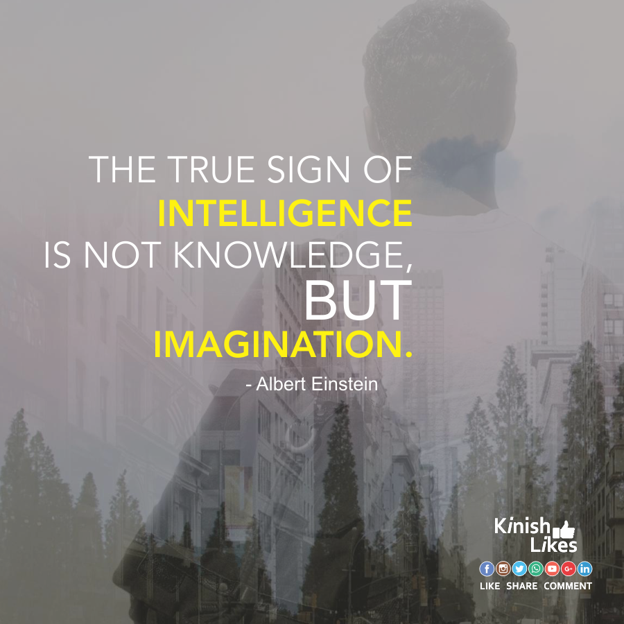 Imagination Intellect