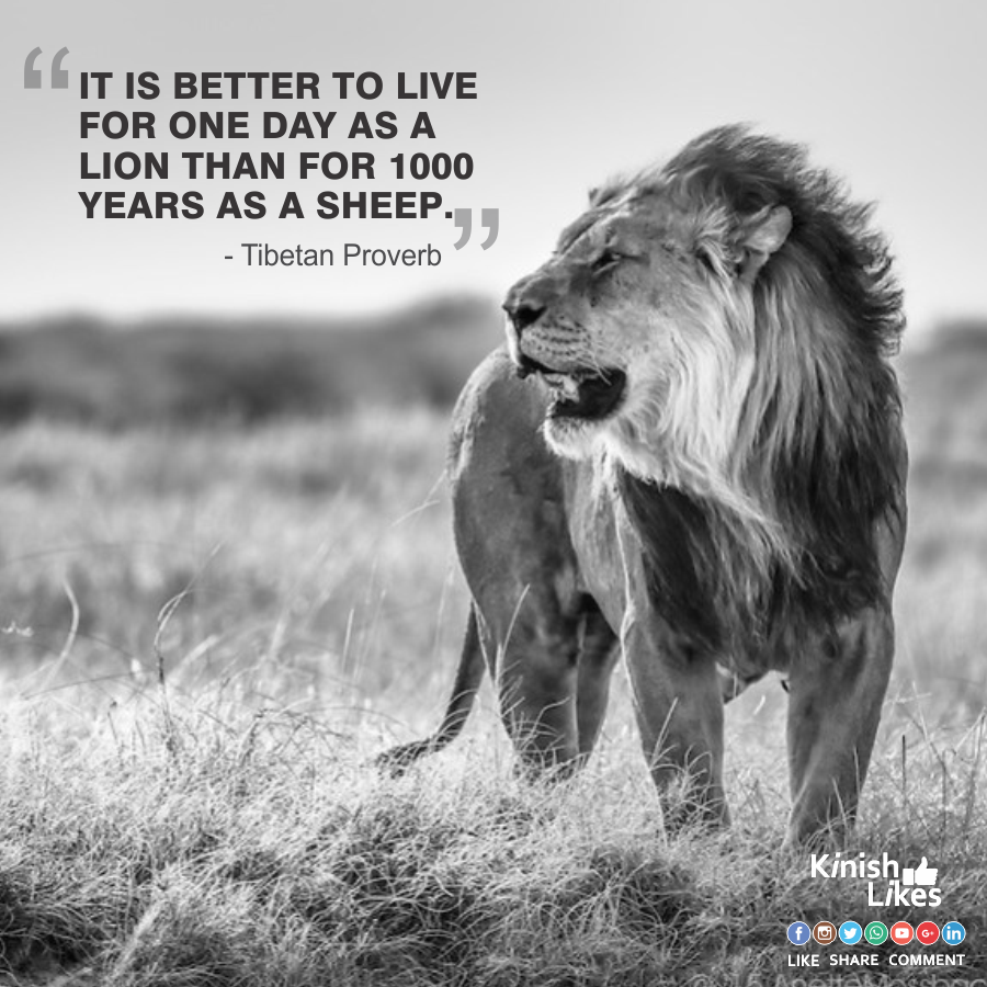 Better to Live