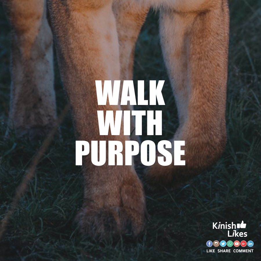 Walk With Purpose