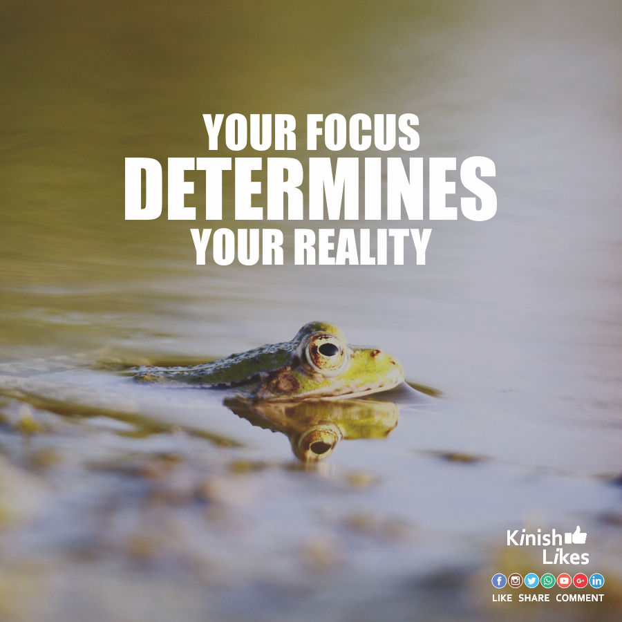 Your Focus