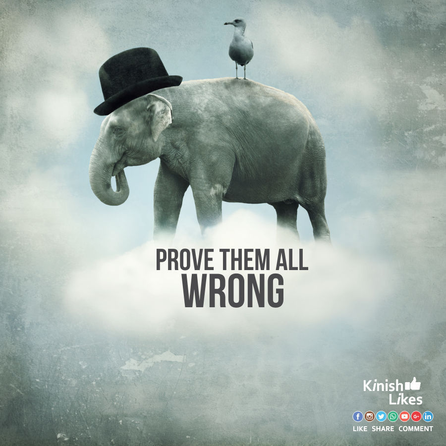Prove Them