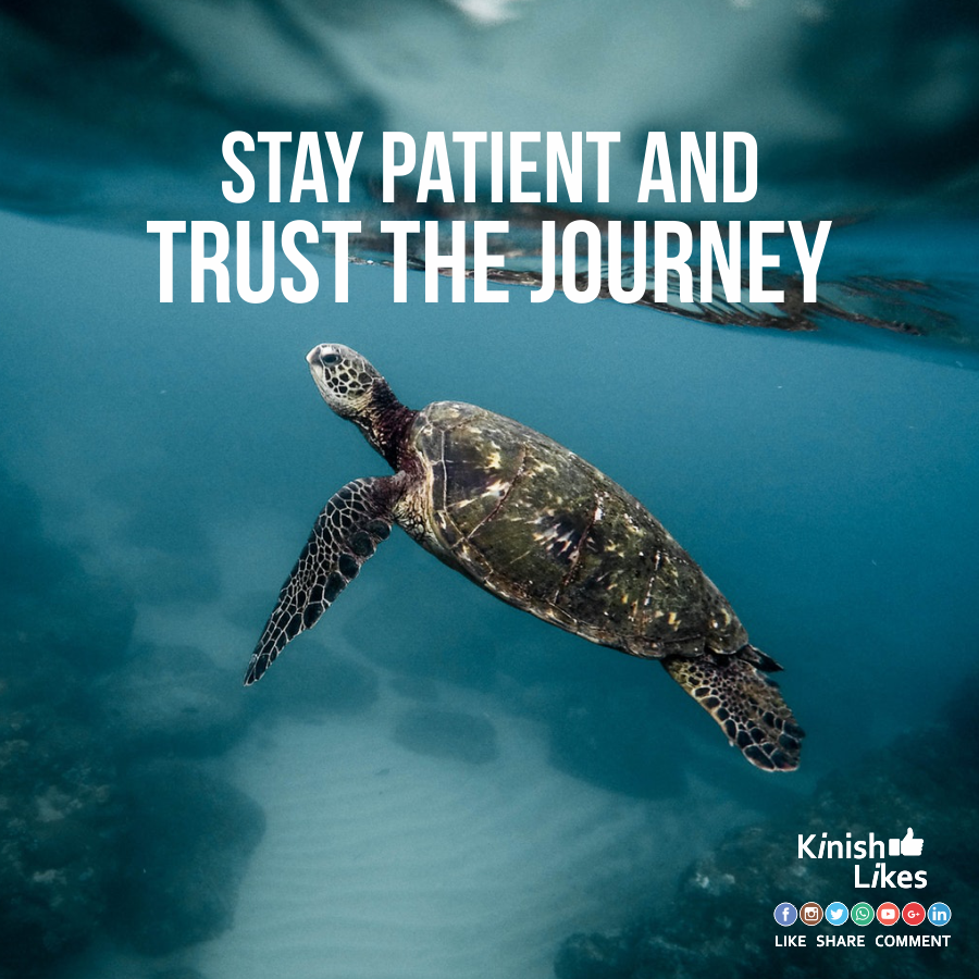 Stay Patient and Trust