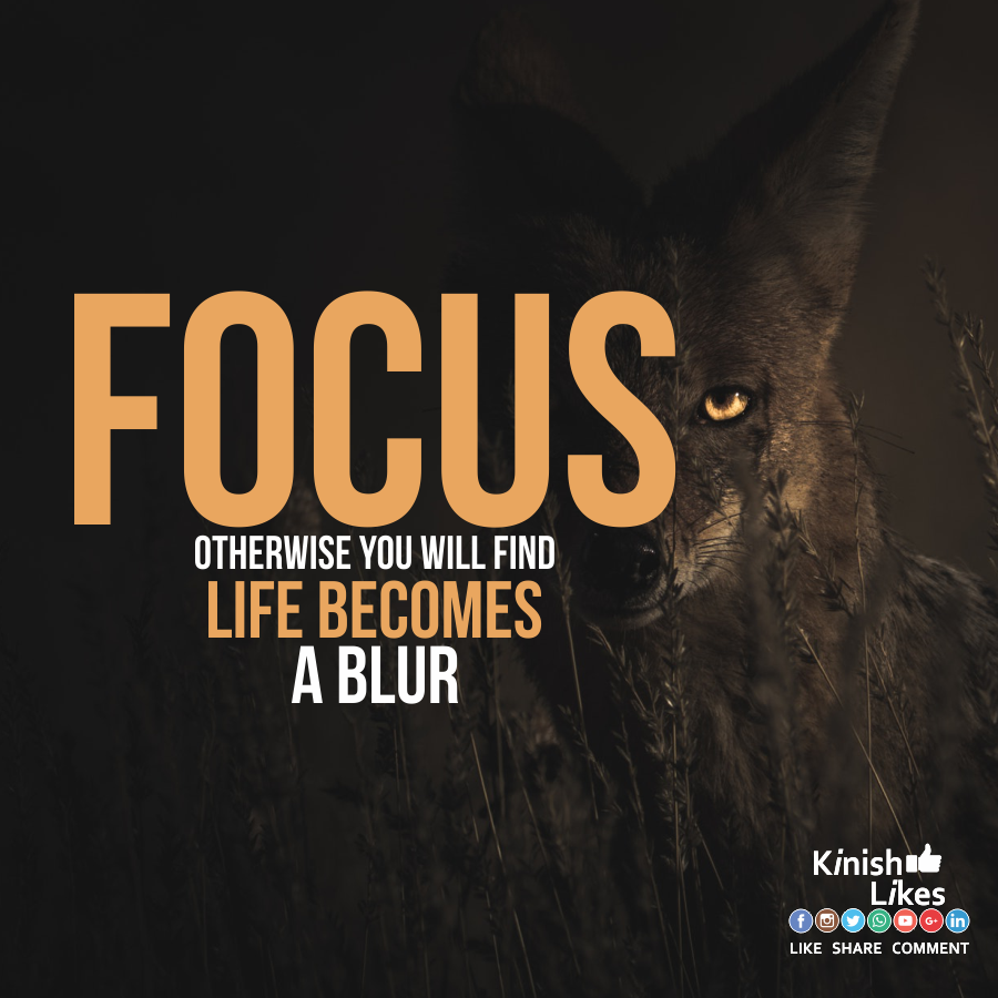 Focused Life