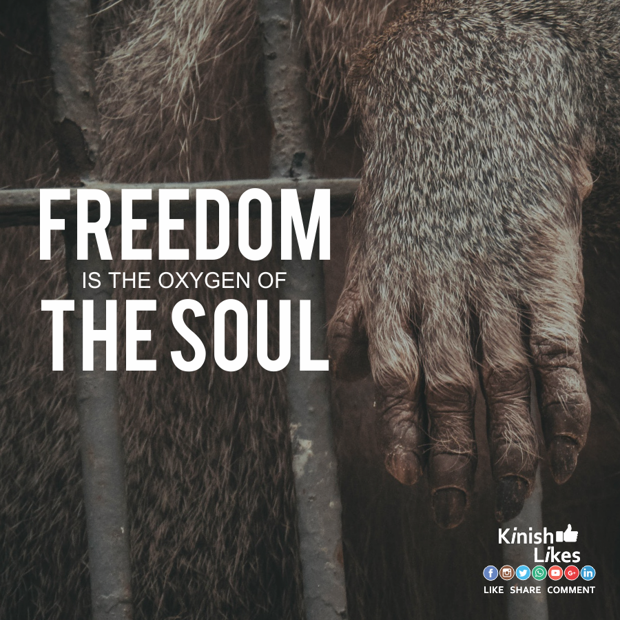 Freedom