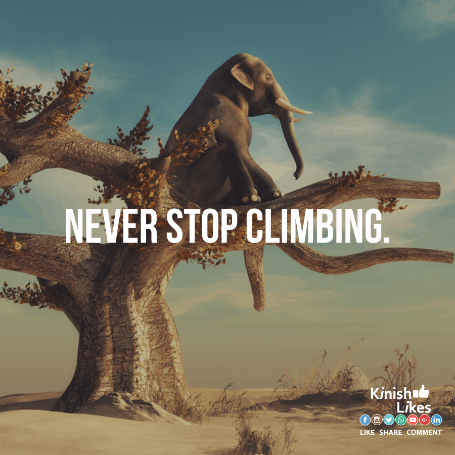 Never Stop