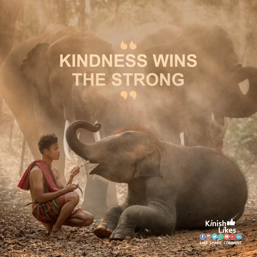Kindness