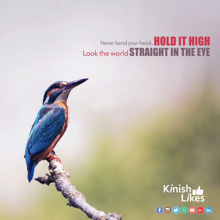 Hold It High