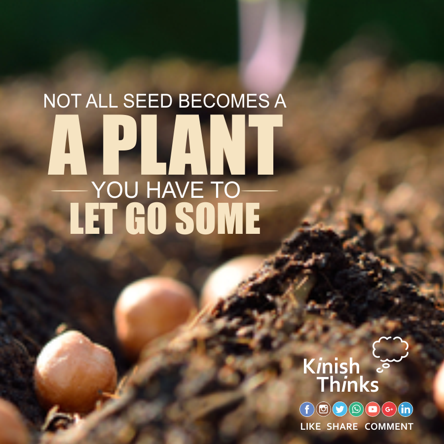 You Plant Seeds