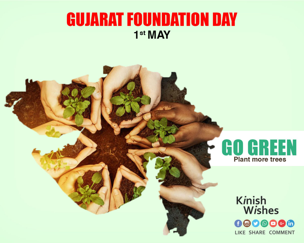 Green Plantation