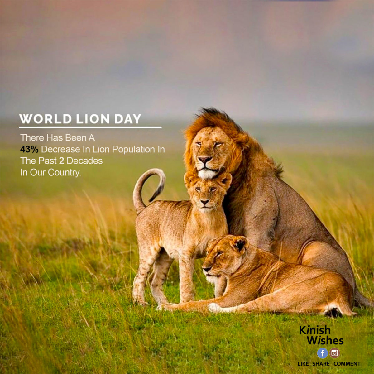 World Lion Day